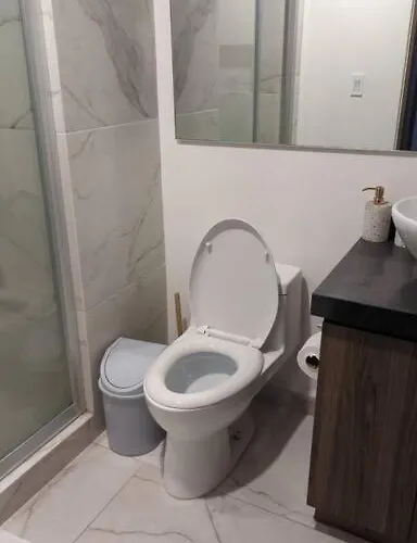 Hermoso En San Angel, Cdmx * Mexico
